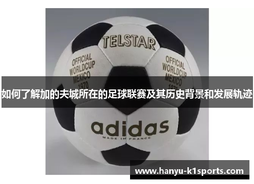 如何了解加的夫城所在的足球联赛及其历史背景和发展轨迹